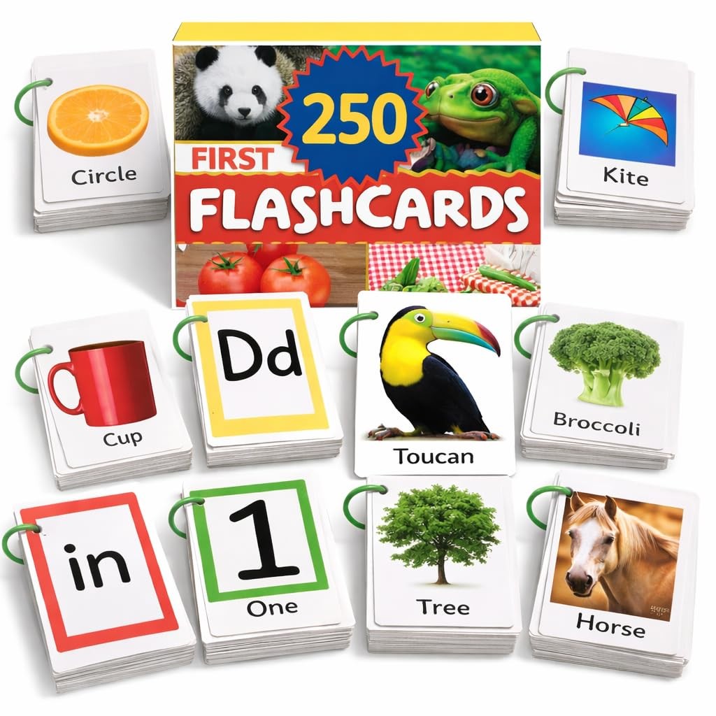 Flash Cards for Toddlers 1–3 with Rings,250 Double-Sided Cards,500 Words–1 Ye…