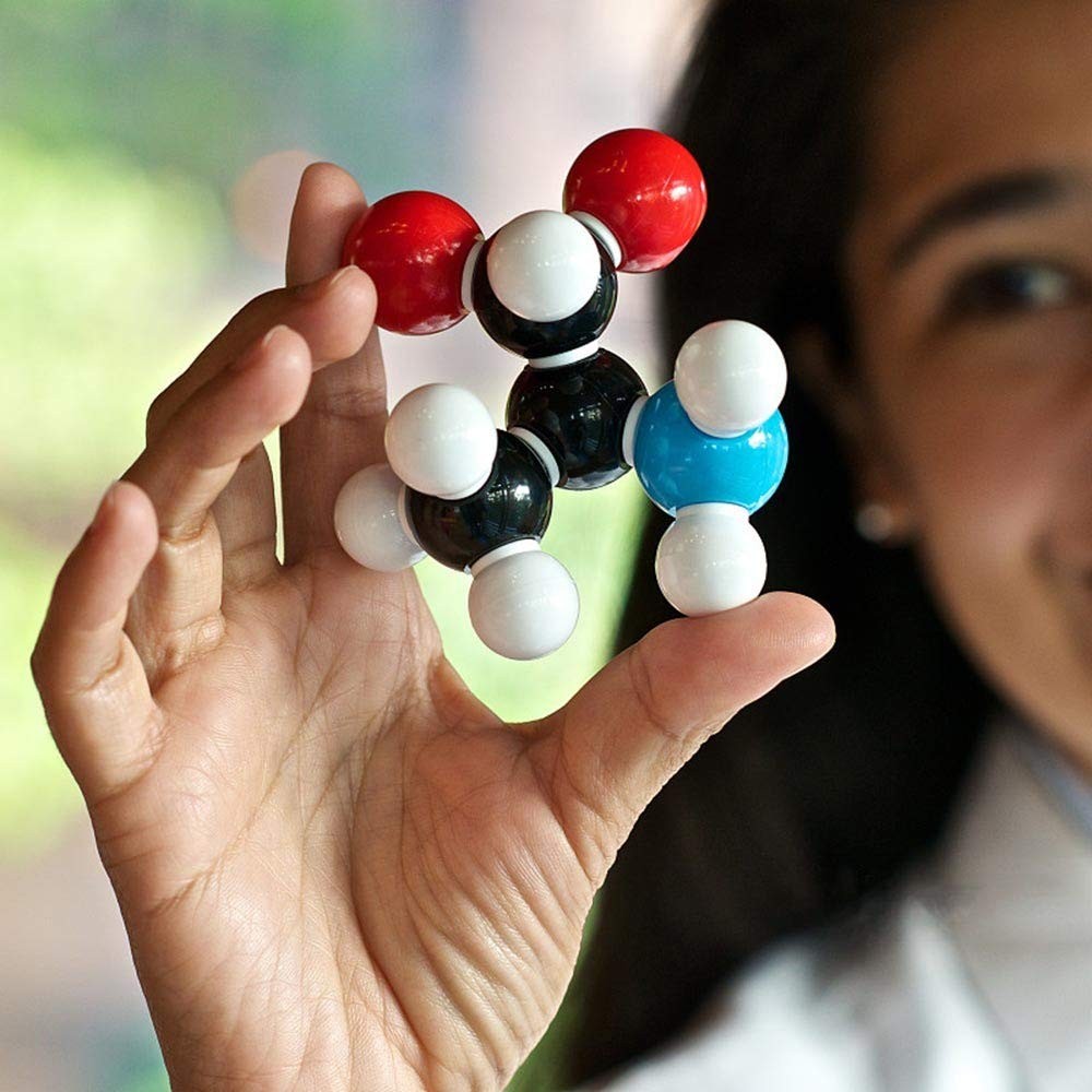 Chemistry Molecular Model Kit (444 Pieces), Student or Teacher Set for Organic a