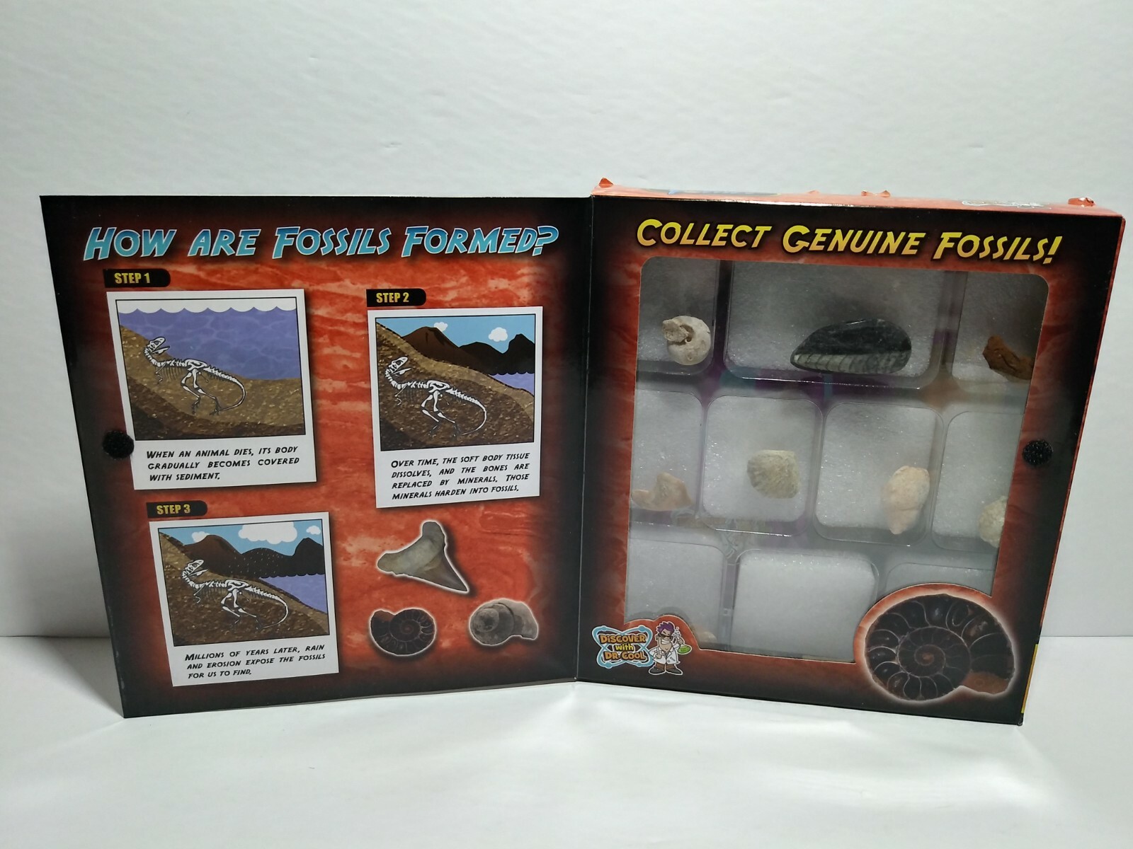 Discover with Dr. Cool Explore Real Fossils 10 Genuine Specimens Collection Book