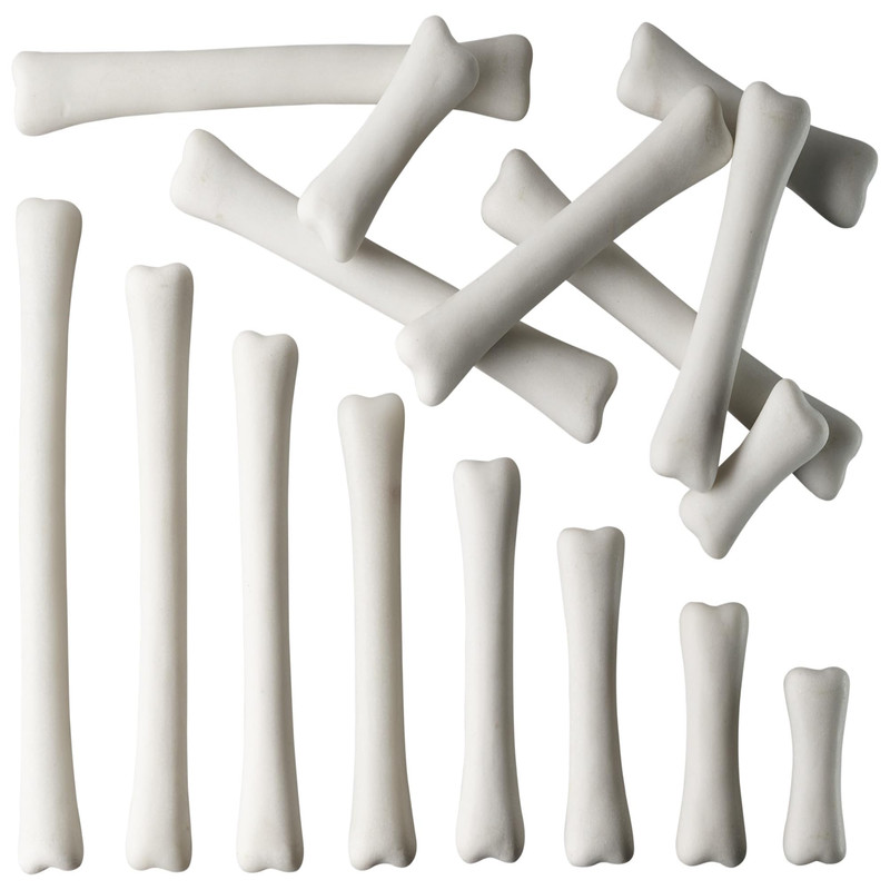 Yellow Door Dinosaur Bones Match Measure Set Multi Yus1033
