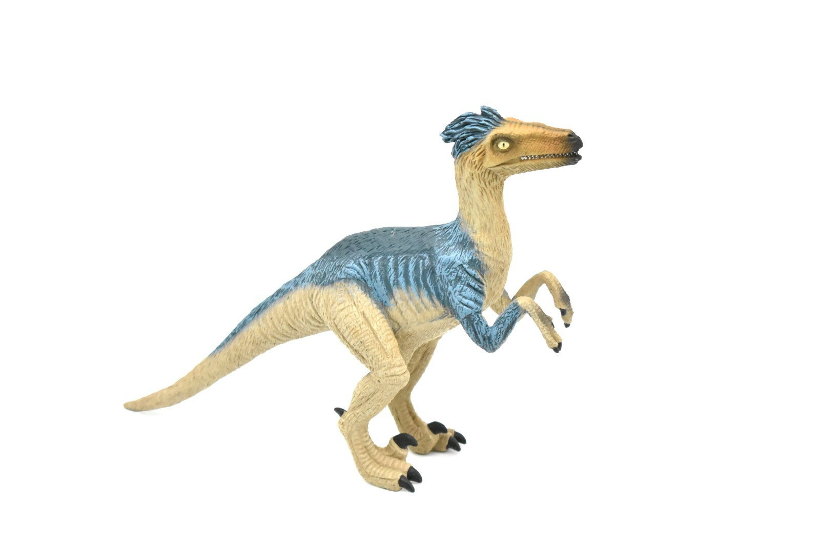 Velociraptor Dinosaur, Museum Quality Plastic Replica 8″ M009-B630