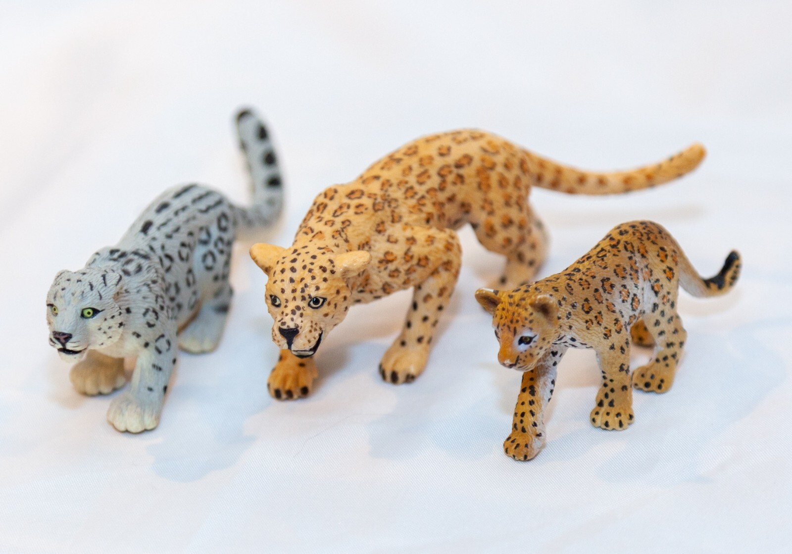 Leopards Wild Cats Wildlife Figures Safari Ltd Toys Educational Collector Lot