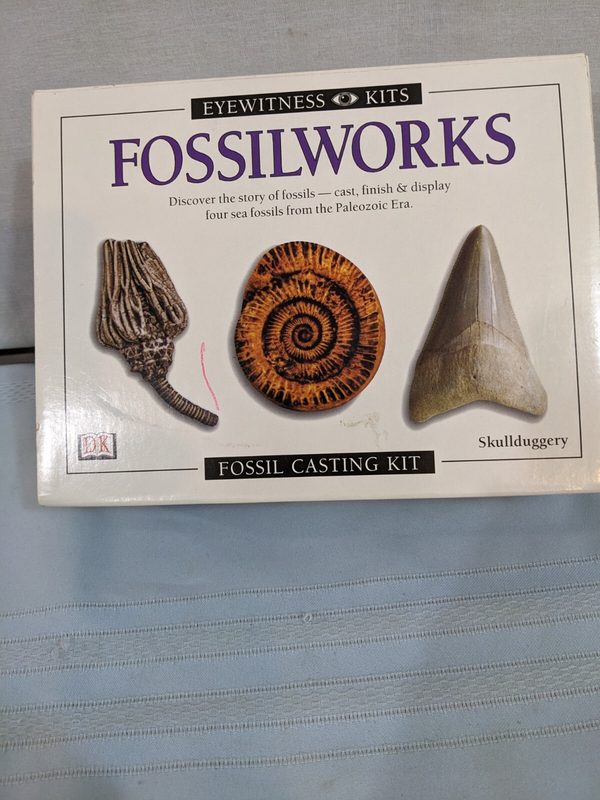 Fossilworks Eyewitness Kit Fossil Casting Activity Skullduggery