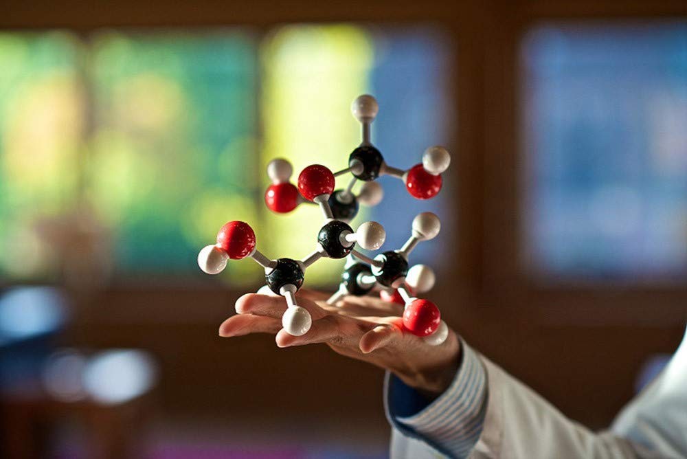 Chemistry Molecular Model Kit (444 Pieces), Student or Teacher Set for Organic a