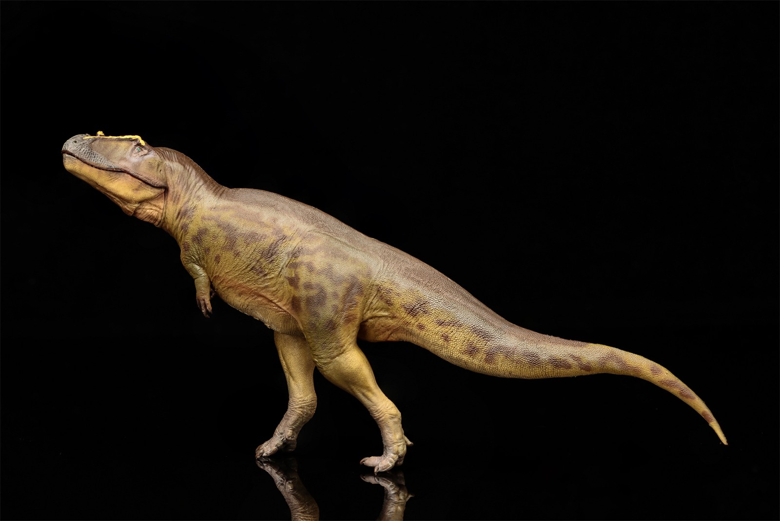 PNSO Tameryraptor 95 Model Decoration Dinosaur Animal Collection Gift Toys