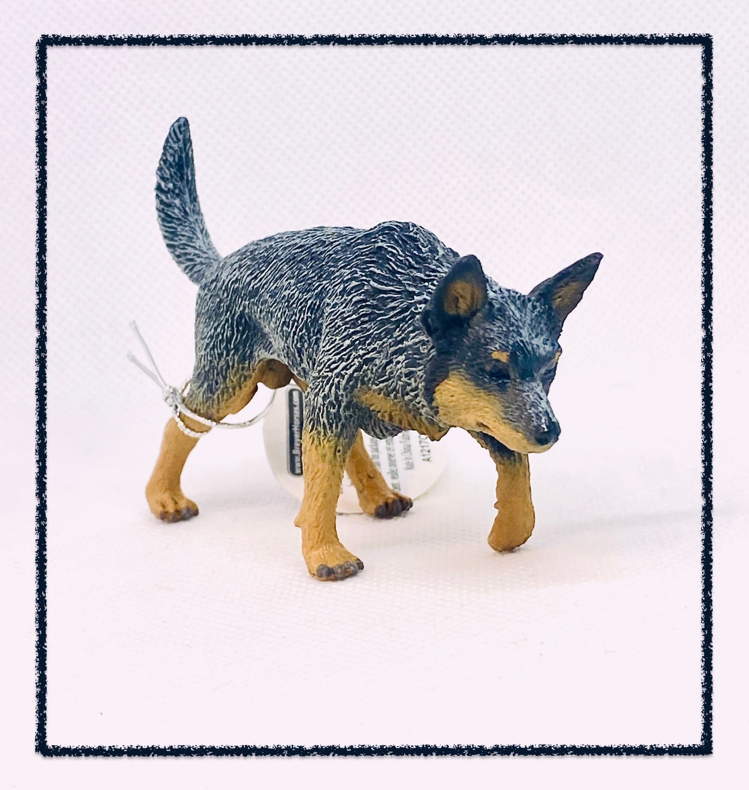 CollectA – Australian Cattle Dog 88672 – Animal Figurine – 3.5 in. x 2.5 in.