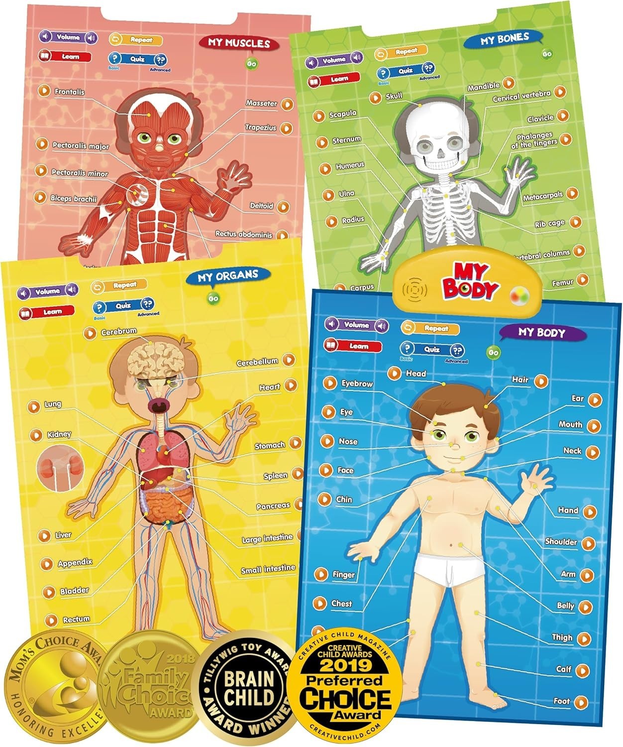 BEST LEARNING i-Poster My Body – Interactive Educational Human Anatomy Talking T