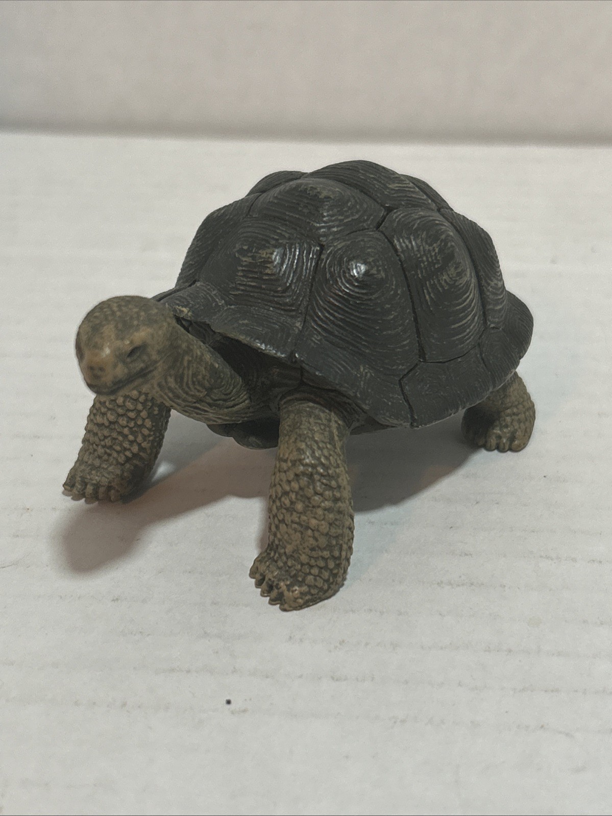 4D Fame Master Turtle Figure