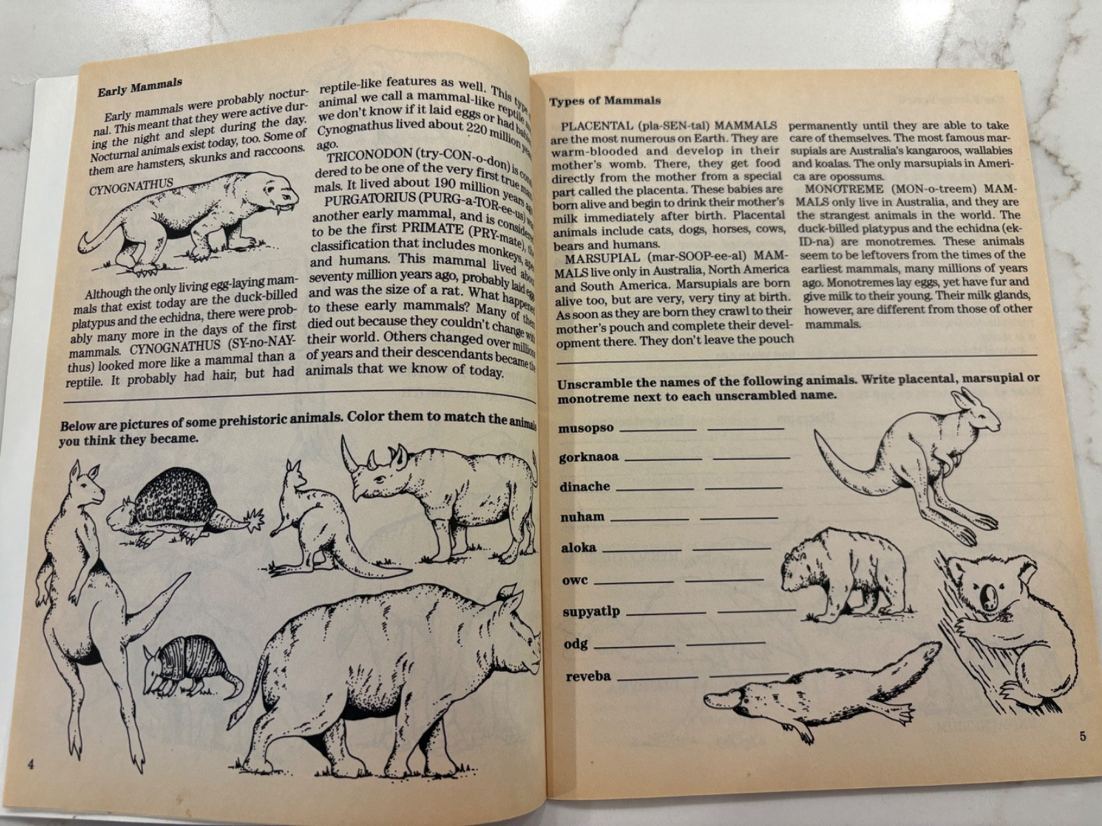 5 Kids Vintage Science Activity Fun Facts Workbooks-Animals Space Dinosaurs