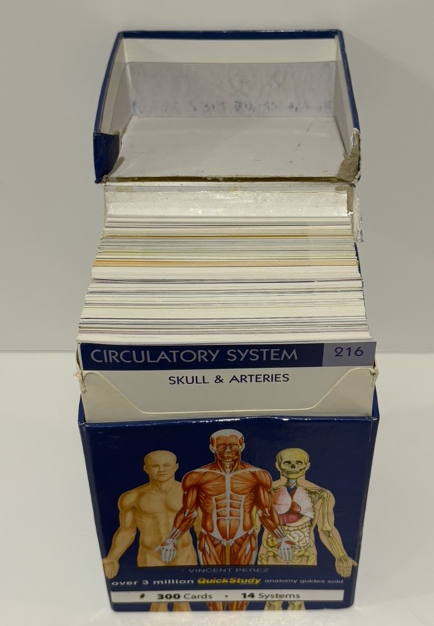 QuickStudy Anatomy Flash Cards 300 Cards 14 Systems by Vincent Perez BarCharts