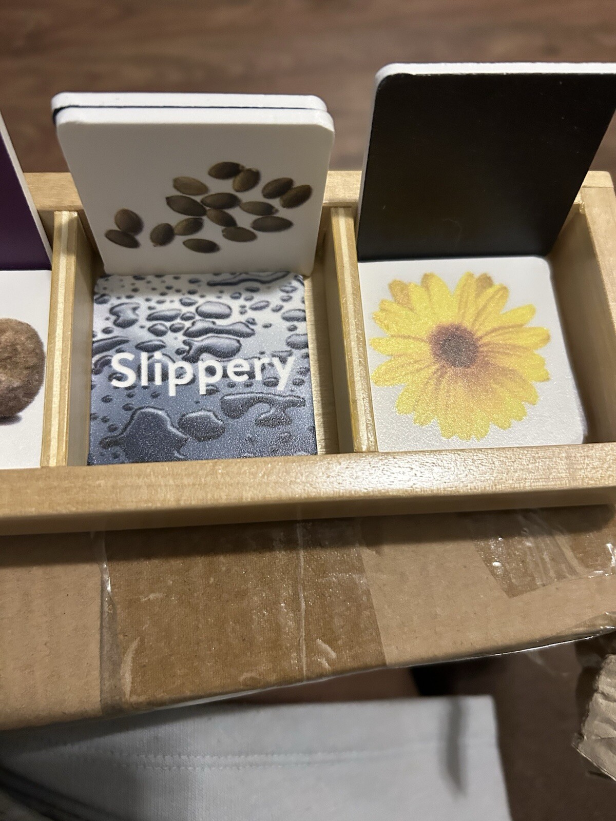 Kaplan Nature Seek And Sort Tiles