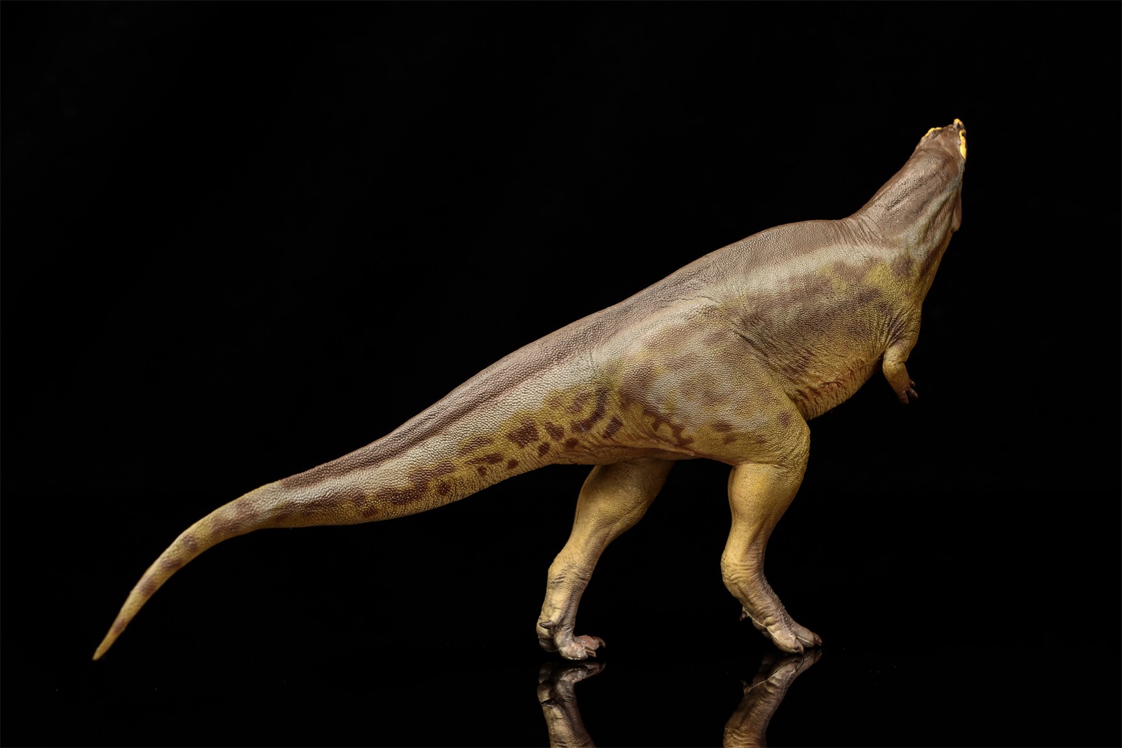 PNSO Tameryraptor 95 Model Decoration Dinosaur Animal Collection Gift Toys