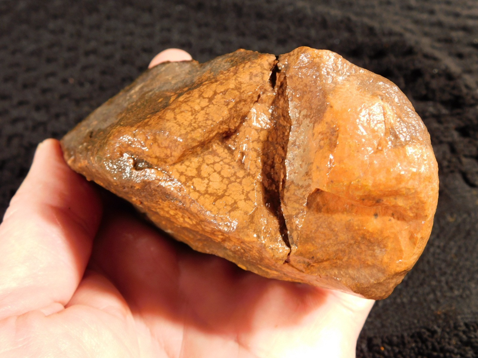 DINOSAUR Bone Fossil From Jurassic Utah! 100% Natural 392gr