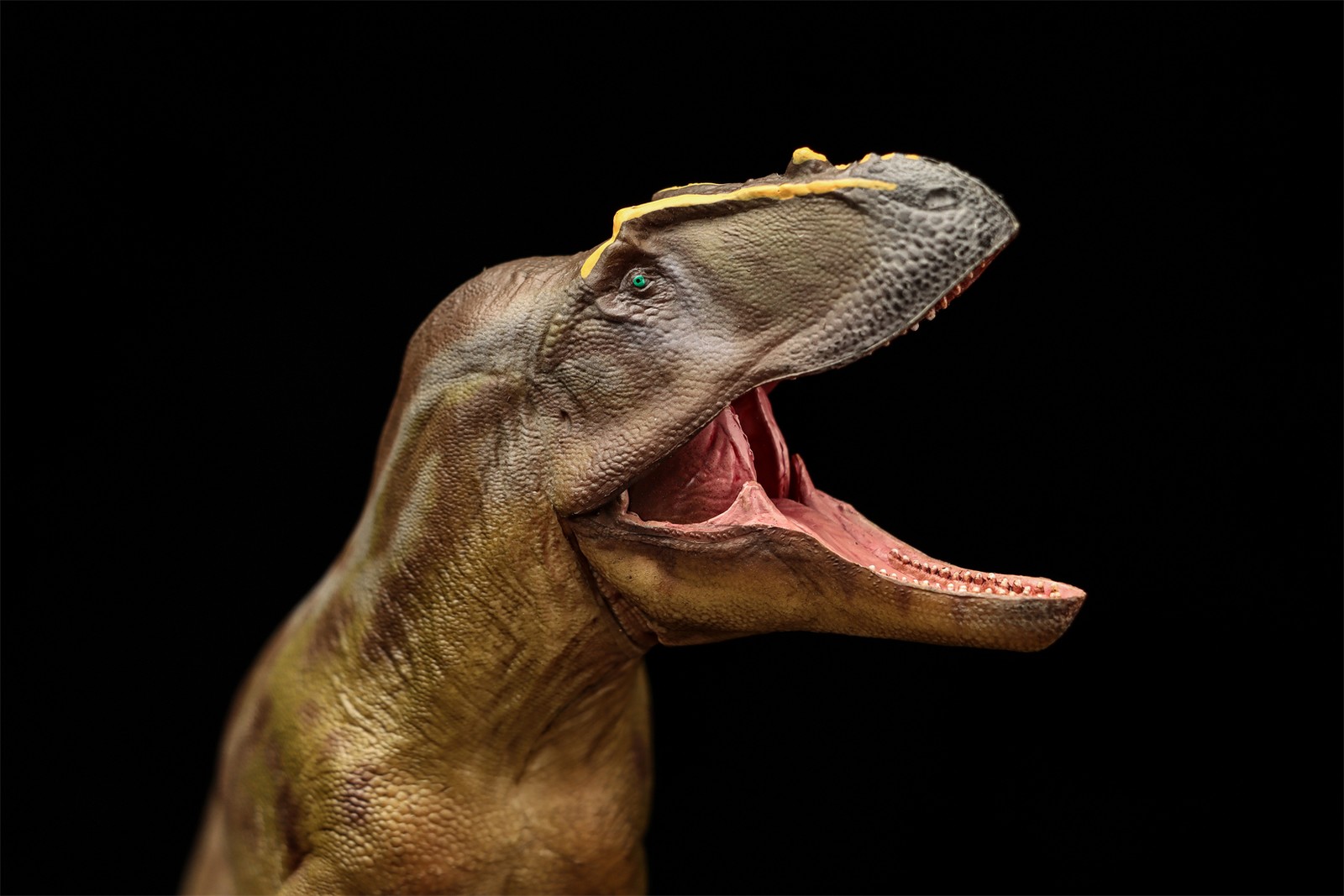 PNSO Tameryraptor 95 Model Decoration Dinosaur Animal Collection Gift Toys