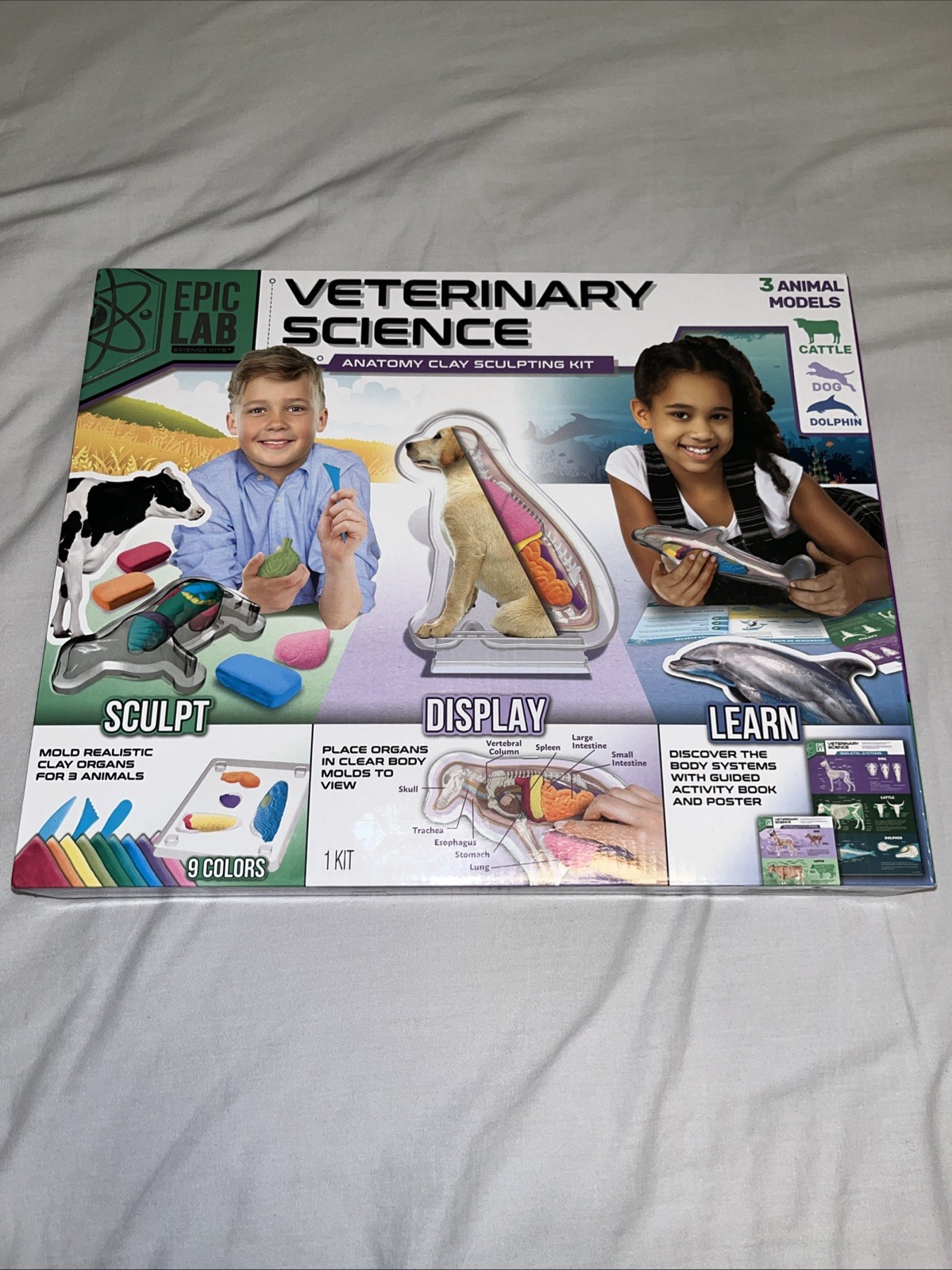 Epic Lab Veterinary Science Anatomy Clay Sculpting Kit Ages 8+ 2021