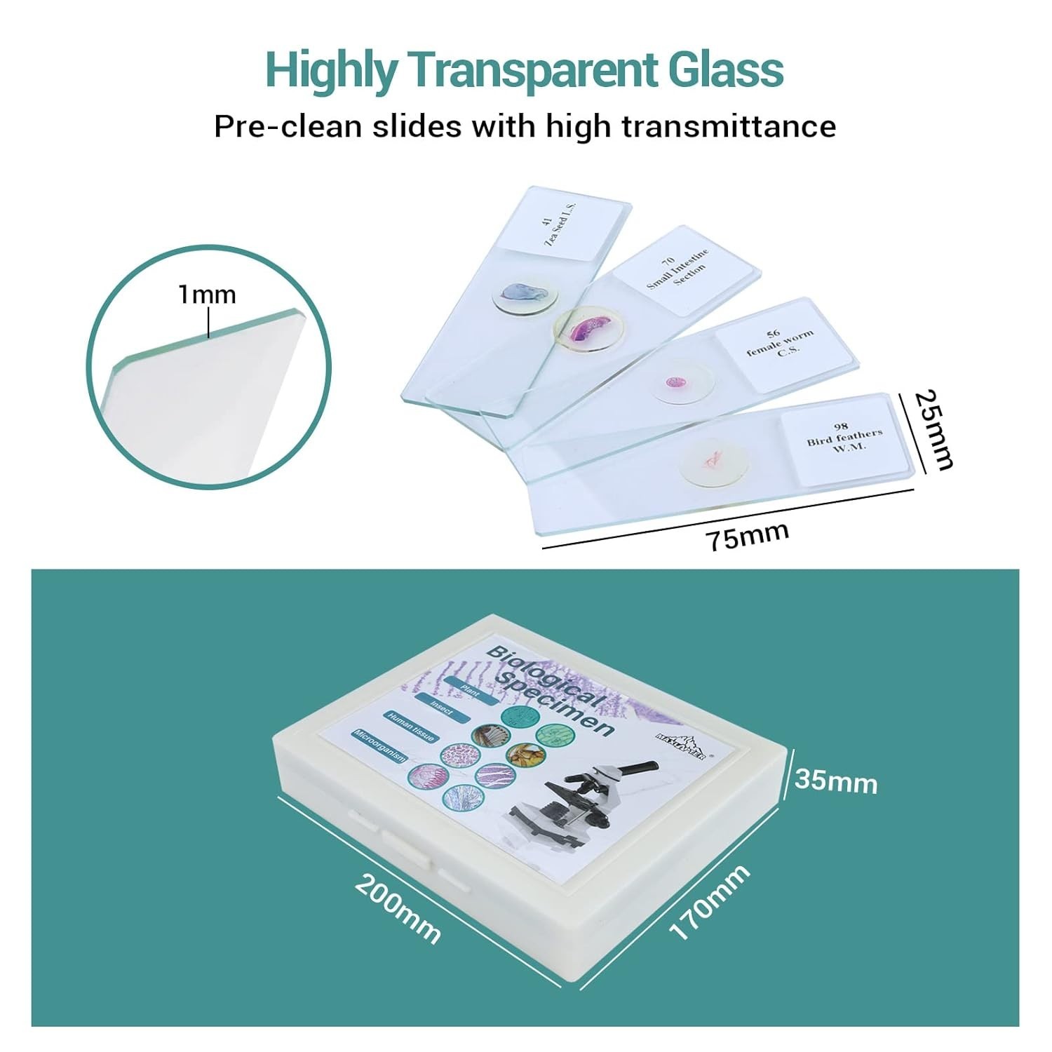 100 Microscope Slides with Specimens for Kids and Adults, Prepared Microscope…