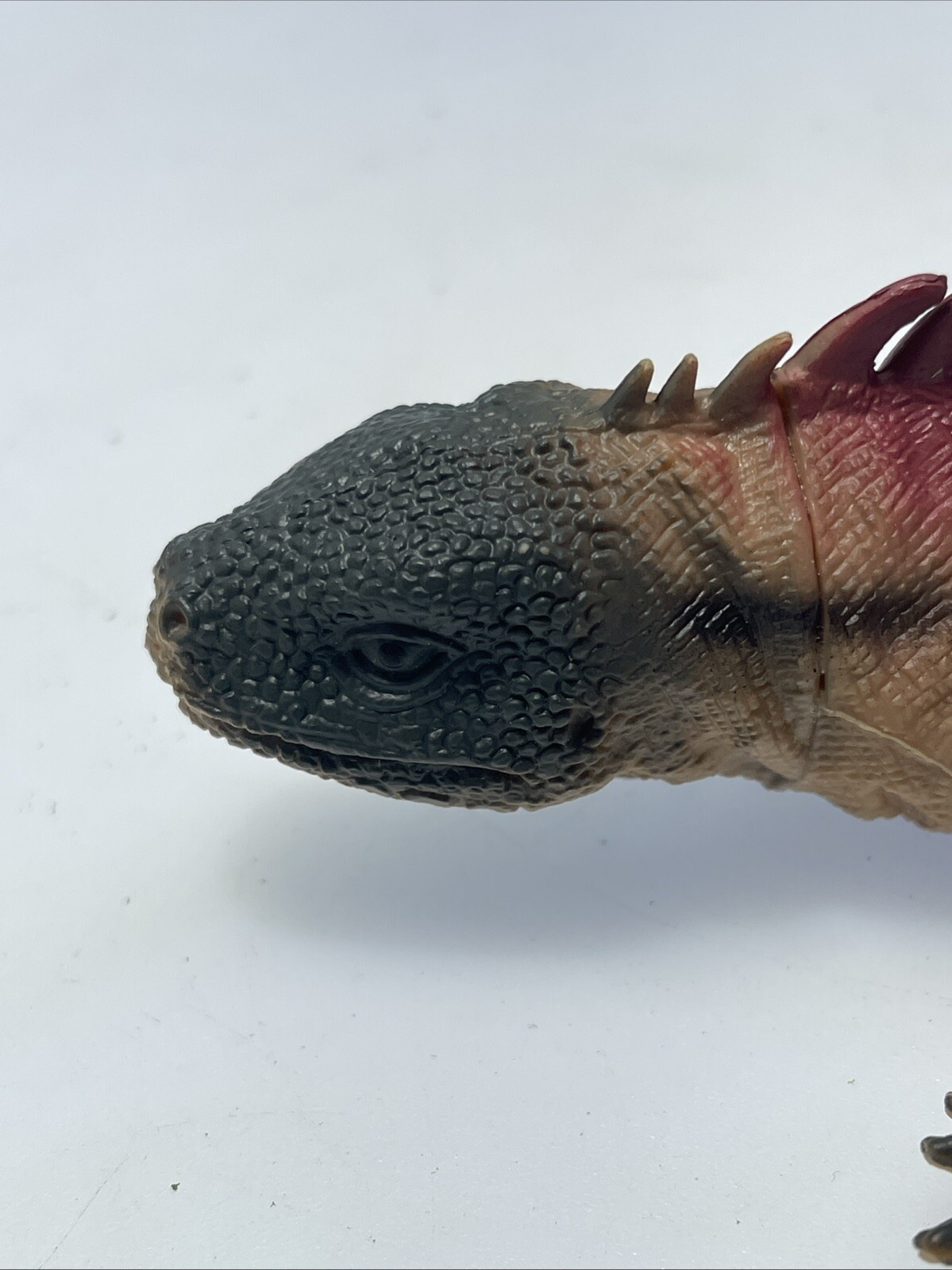 Iguana Lizard Dolgen Educational Animal Kids Toy Action Figure 8”