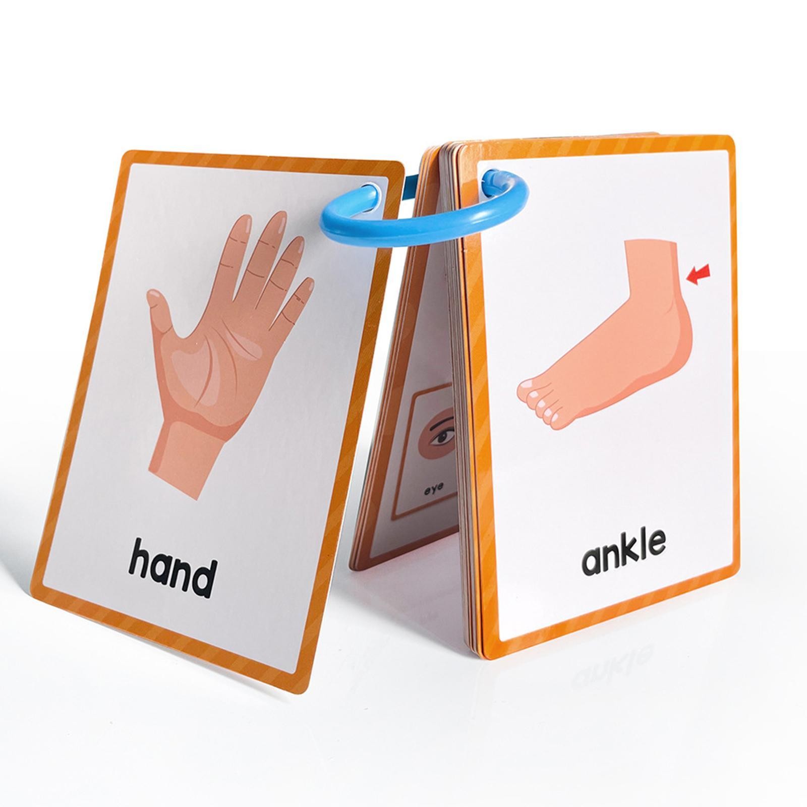 Body Parts Flash Cards Teacher Tool Cognitive Learning Toys Baby Toddlers