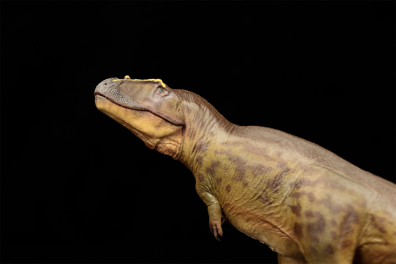 PNSO Tameryraptor 95 Model Decoration Dinosaur Animal Collection Gift Toys