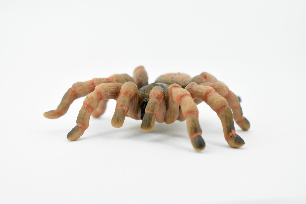 Wolf Spider, Hand Painted, Realistic Toy Figure, Model 3″ CH422 BB108