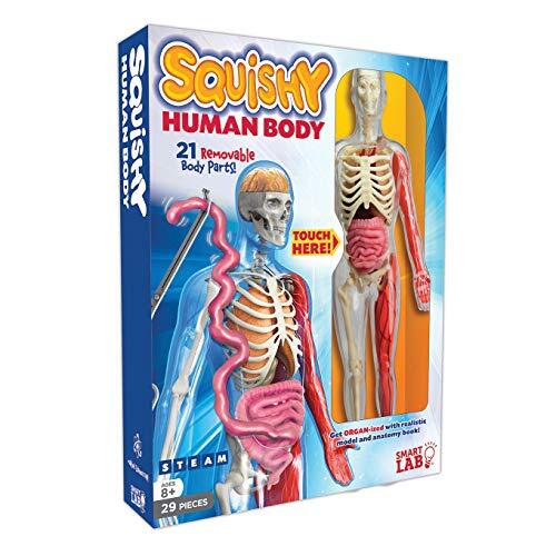 SmartLab Toys Squishy Human Body Multicolor Standard
