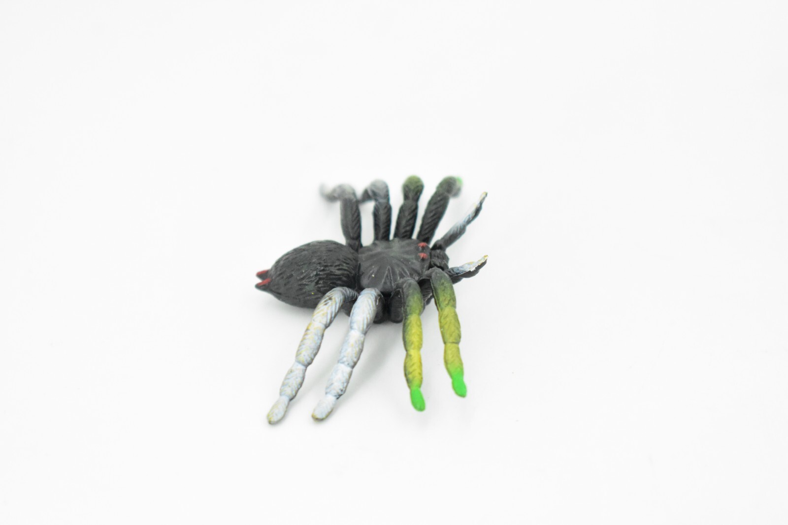 Spider, Garden Spider, Rubber Insect Realistic Figure Model Replica Kids 2.5″