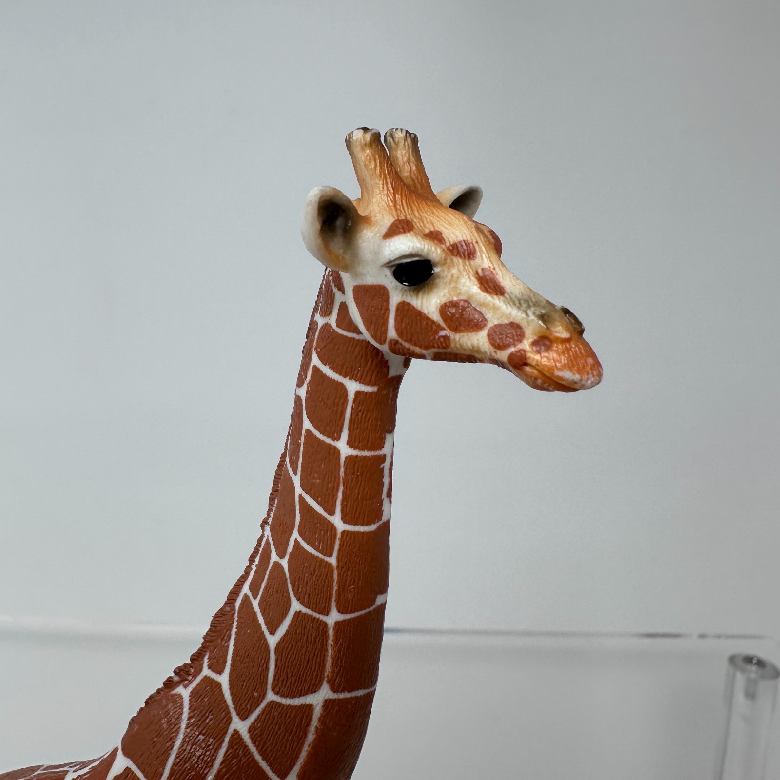 Schleich Giraffe Figure Brown Spotted Wildlife Zoo Animal Figurine 7″ 2015