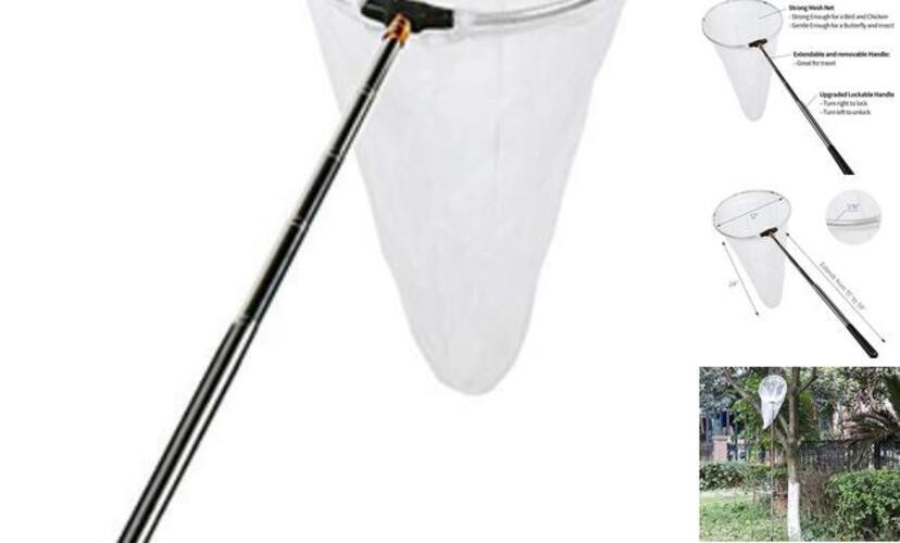 Insect and Butterfly Net with 12″ Ring, 24″ Net Depth, 12″ Ring, 59″ Handle