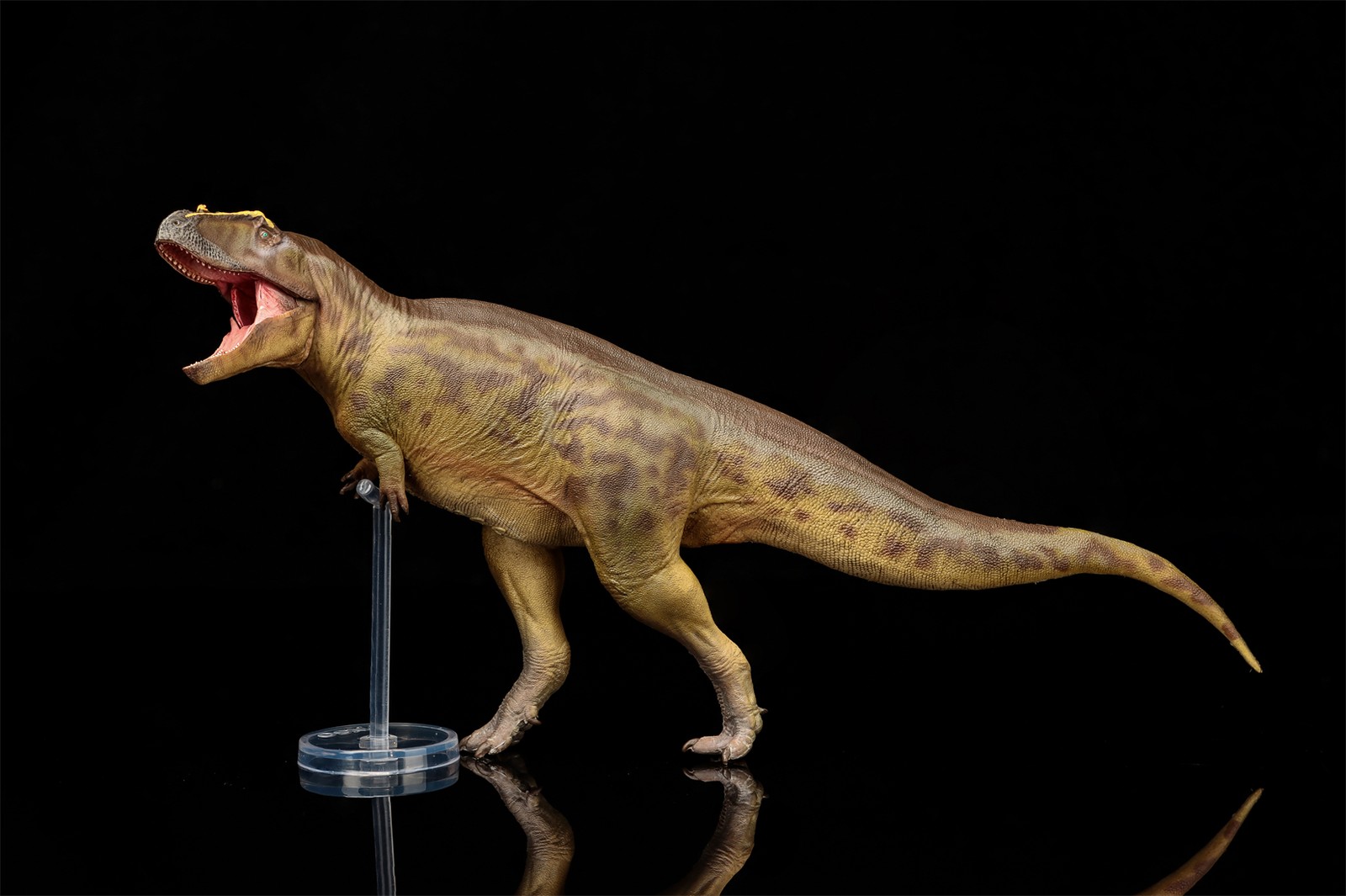 PNSO Tameryraptor 95 Model Decoration Dinosaur Animal Collection Gift Toys