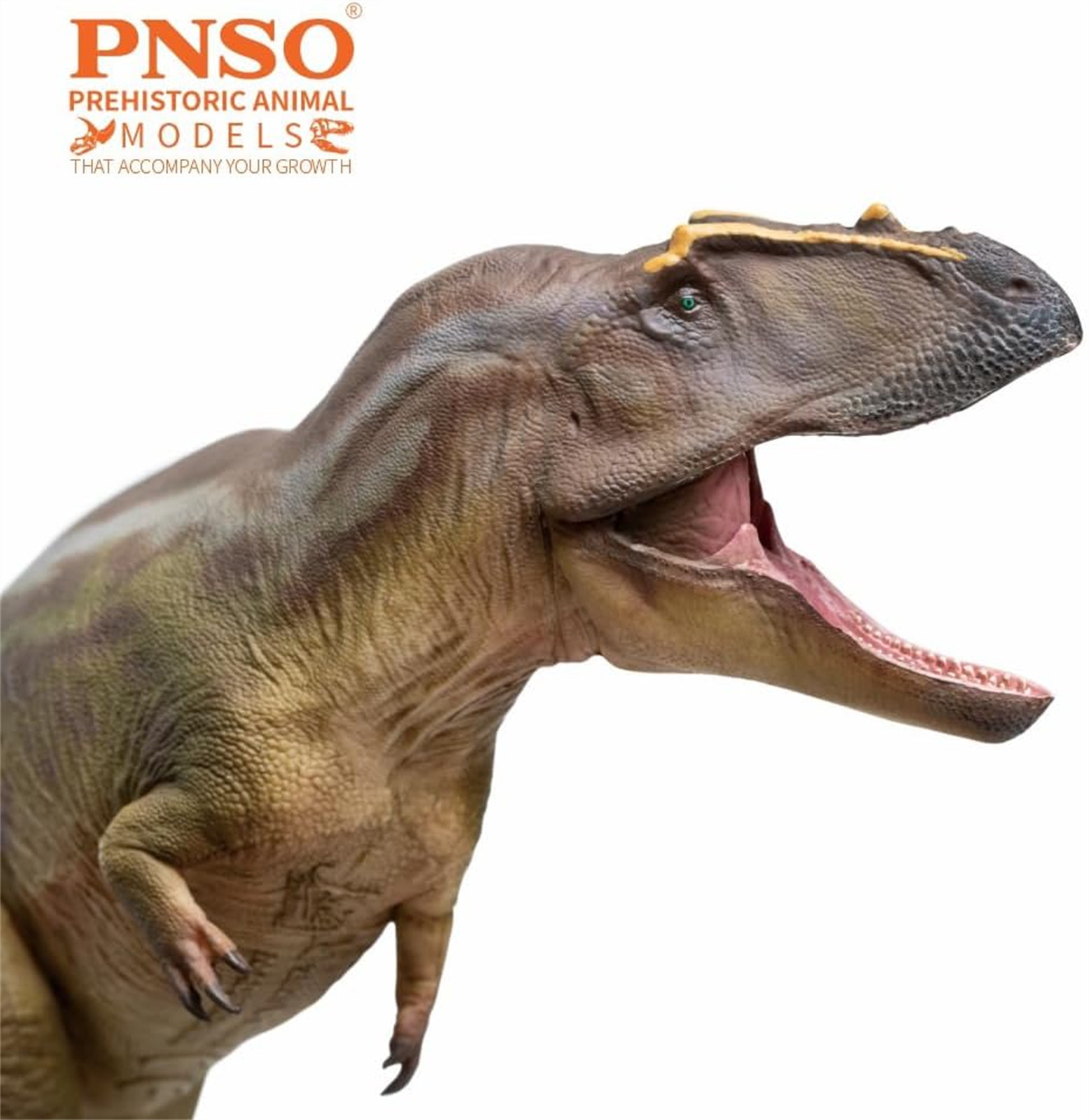 PNSO Tameryraptor 95 Model Decoration Dinosaur Animal Collection Gift Toys