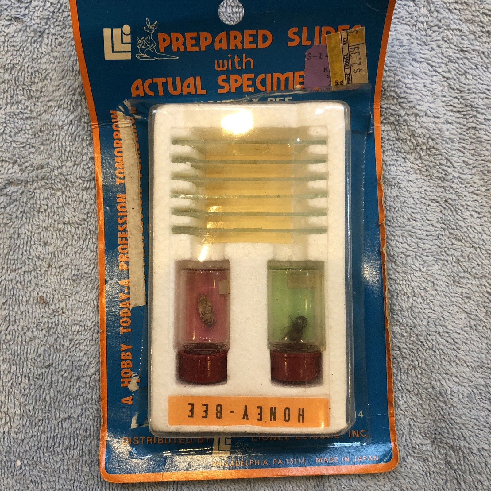 Microscope Prepared Slides, Lionel Leisure Vintage, Japan