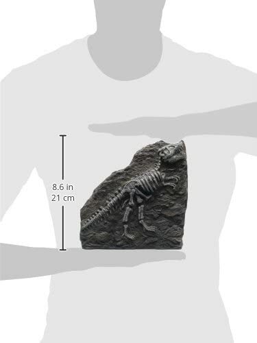 MARINA FOSSILS AQUARIUM ORNAMENT T-REX ( BROWN ) 12325