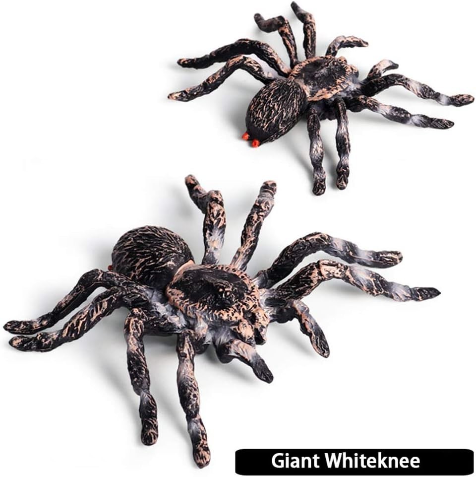 Realistic Animal Figures – Spider Action Model Lifelike Insect Toy Figures – …