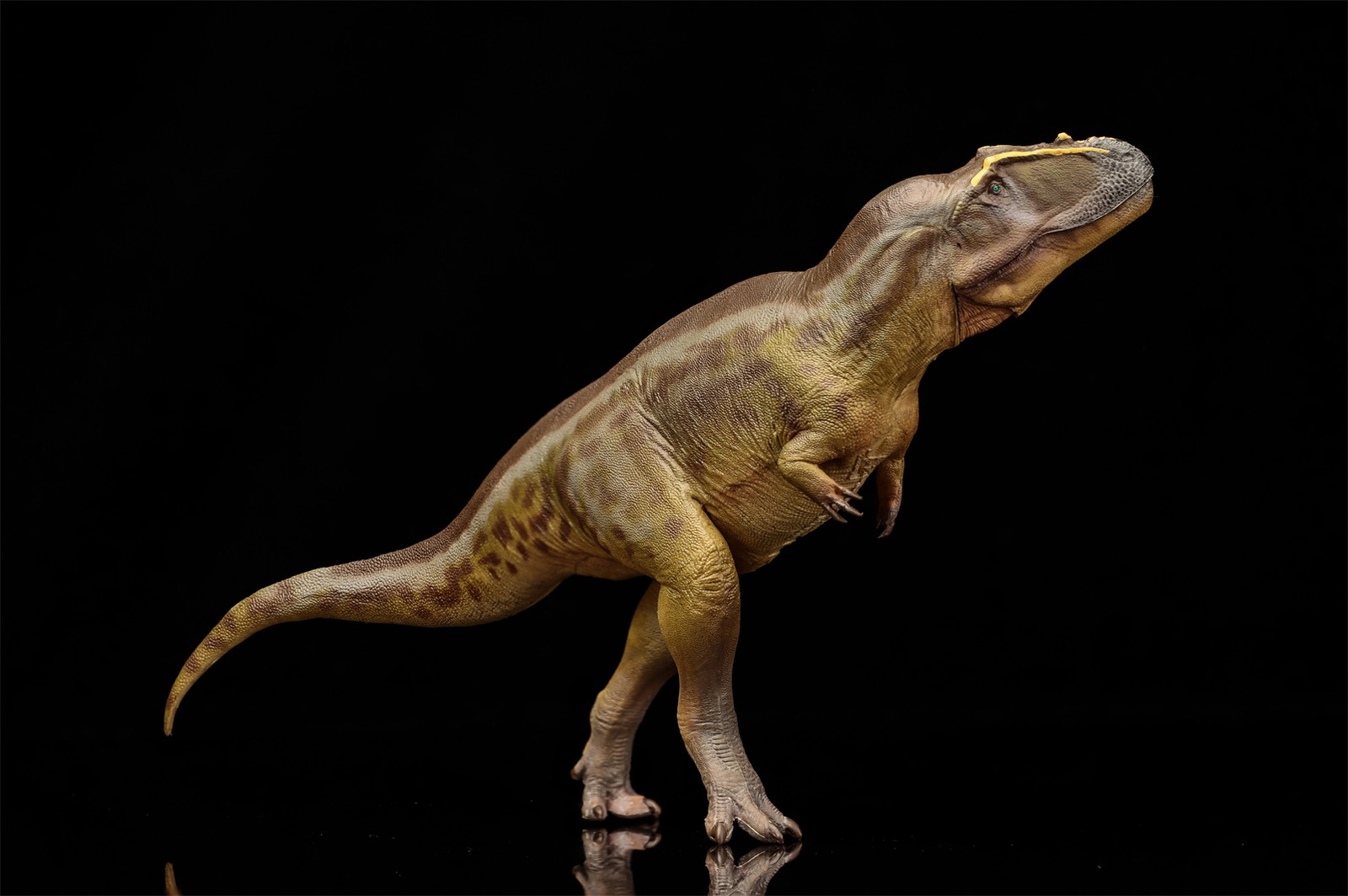 PNSO Tameryraptor 95 Model Decoration Dinosaur Animal Collection Gift Toys