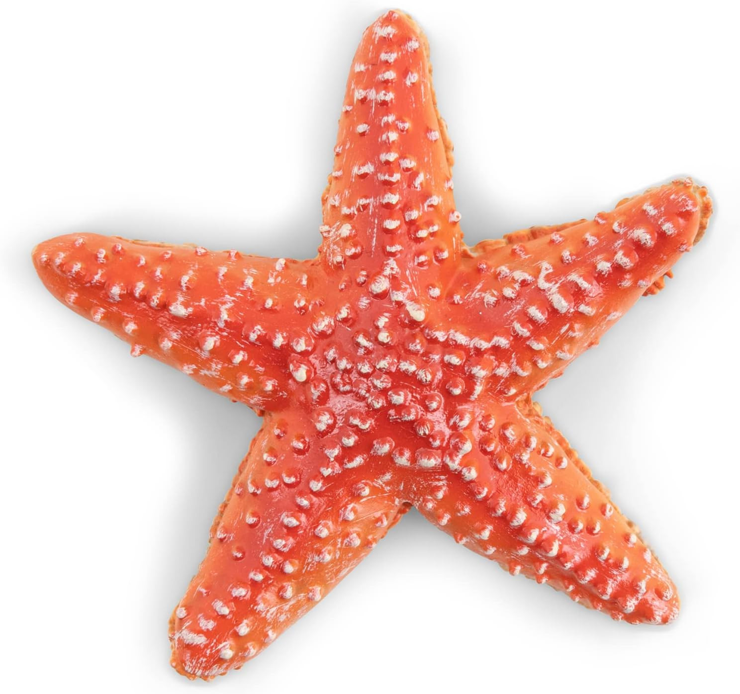 – Realistic Starfish Figure Toy for Kids – Ages 3+ – Marine Life Collection – Ed