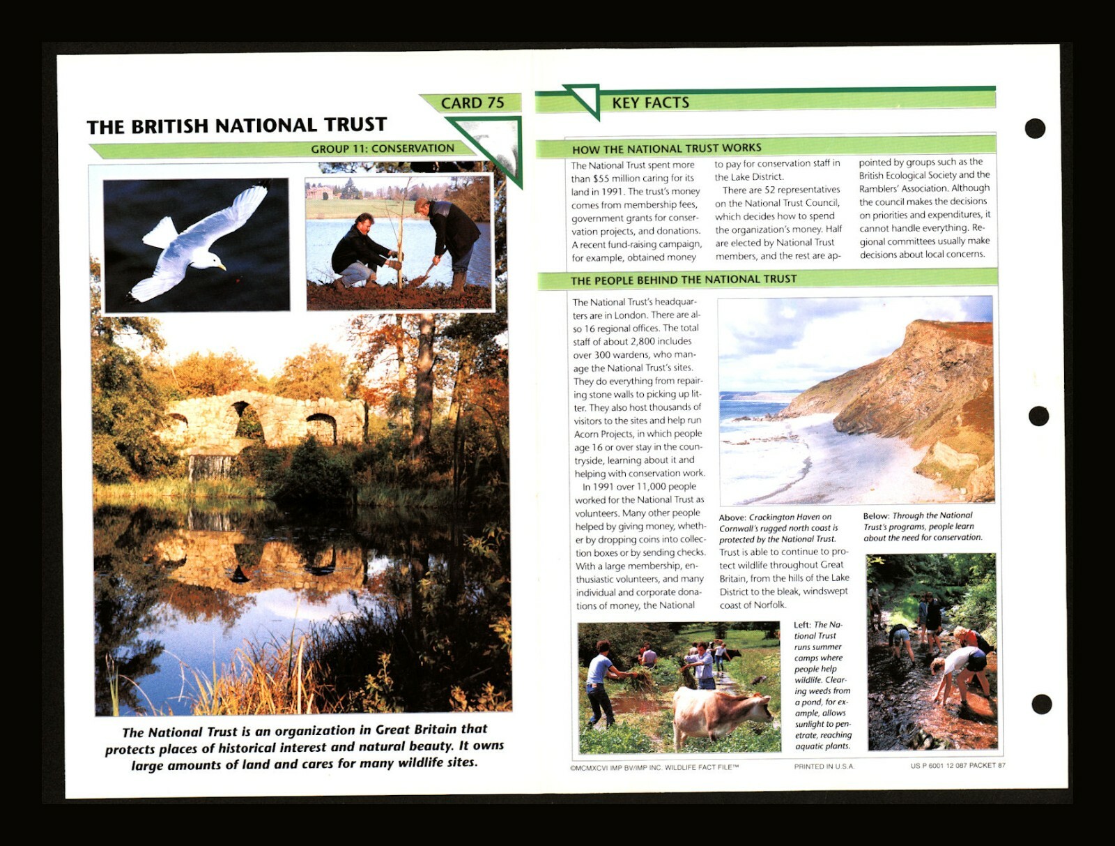 British National Trust Wildlife Fact File Card Conservation Home School 11.75