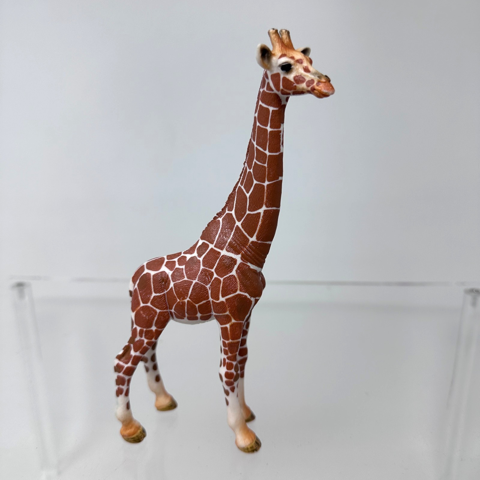 Schleich Giraffe Figure Brown Spotted Wildlife Zoo Animal Figurine 7″ 2015