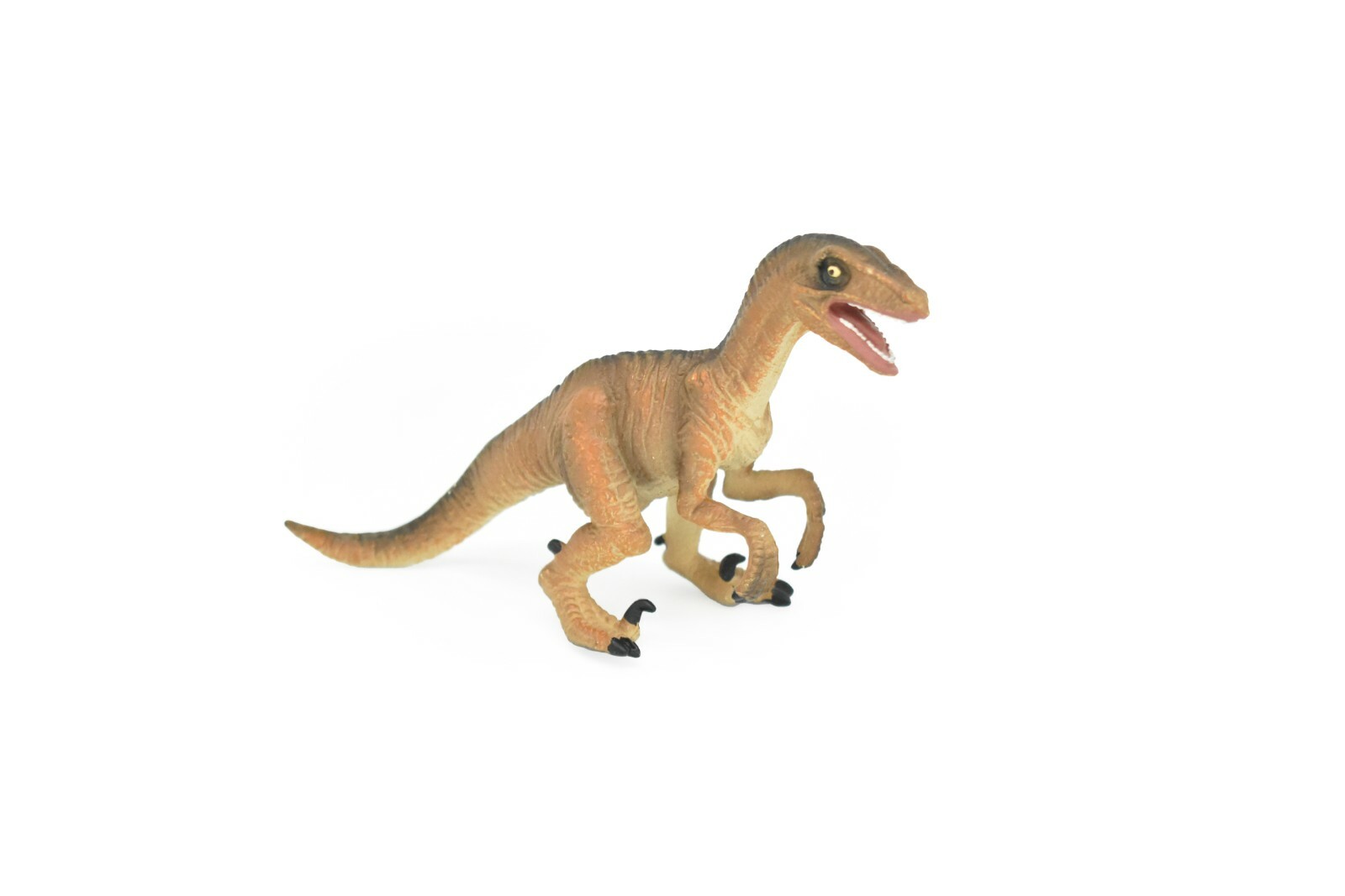 Velociraptor Dinosaur, Museum Quality Plastic Replica 8″ M009-B630