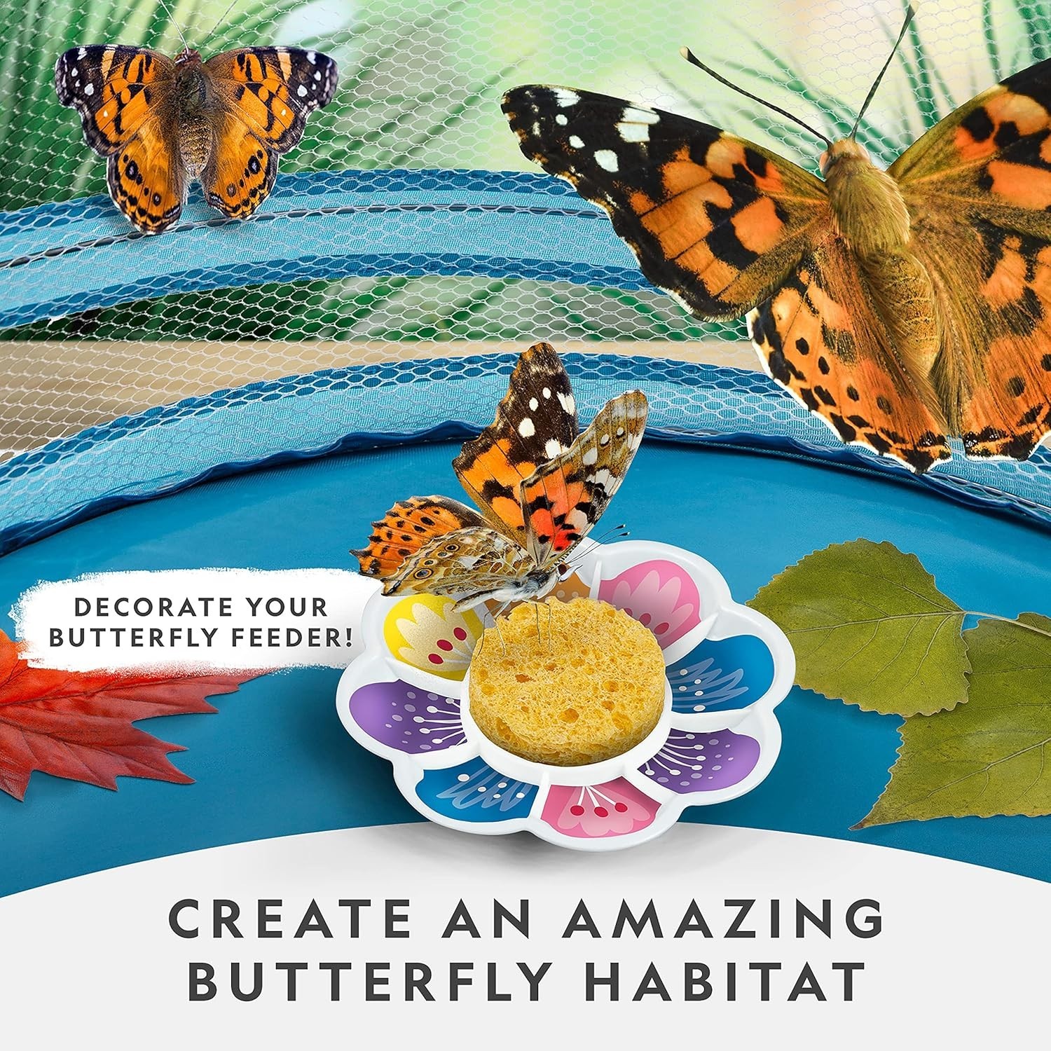 Create a Real Butterfly Habitat – National Geographic Kit with 5 Caterpillars