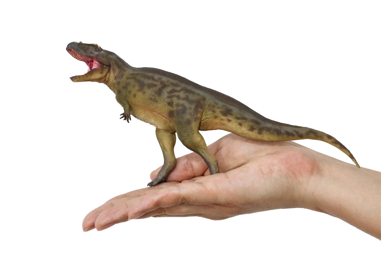 PNSO Tameryraptor 95 Model Decoration Dinosaur Animal Collection Gift Toys