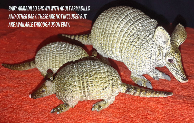 Armadillo Baby – AAA – Wild Animal Figure