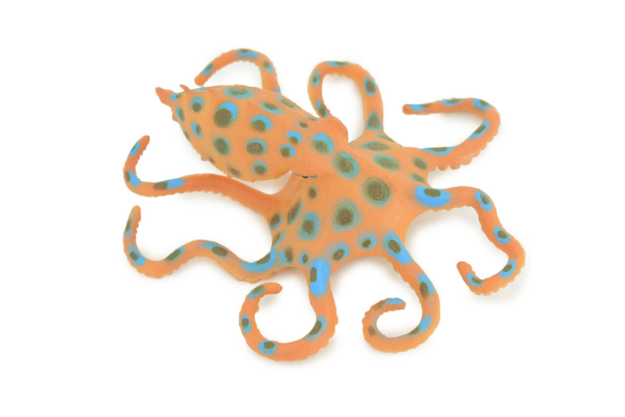Blue Ringed Octopus Toy, Realistic Hand Painted Rubber Model, 4 1/2″ CH850 BB197
