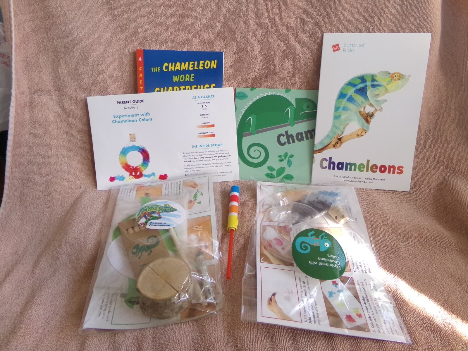 Surprise Ride Subscription «Chameleons»