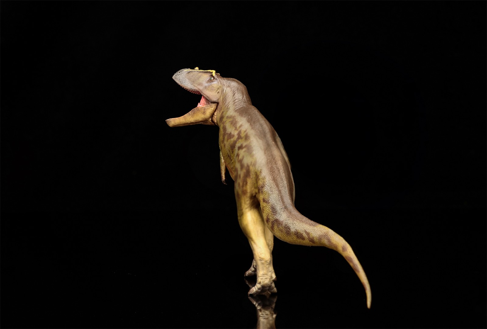 PNSO Tameryraptor 95 Model Decoration Dinosaur Animal Collection Gift Toys
