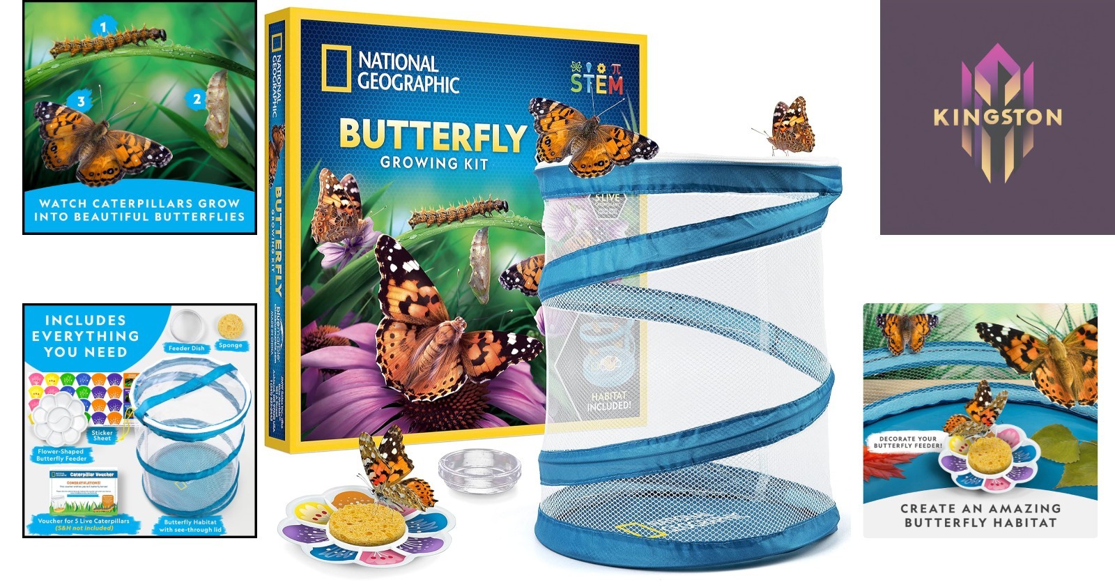 Create a Real Butterfly Habitat – National Geographic Kit with 5 Caterpillars