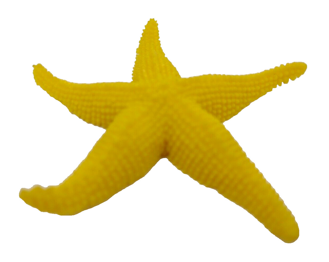 Mini Starfish Figure Animal Replica Fish PVC Toy Miniature Ocean Sea Creature 3+