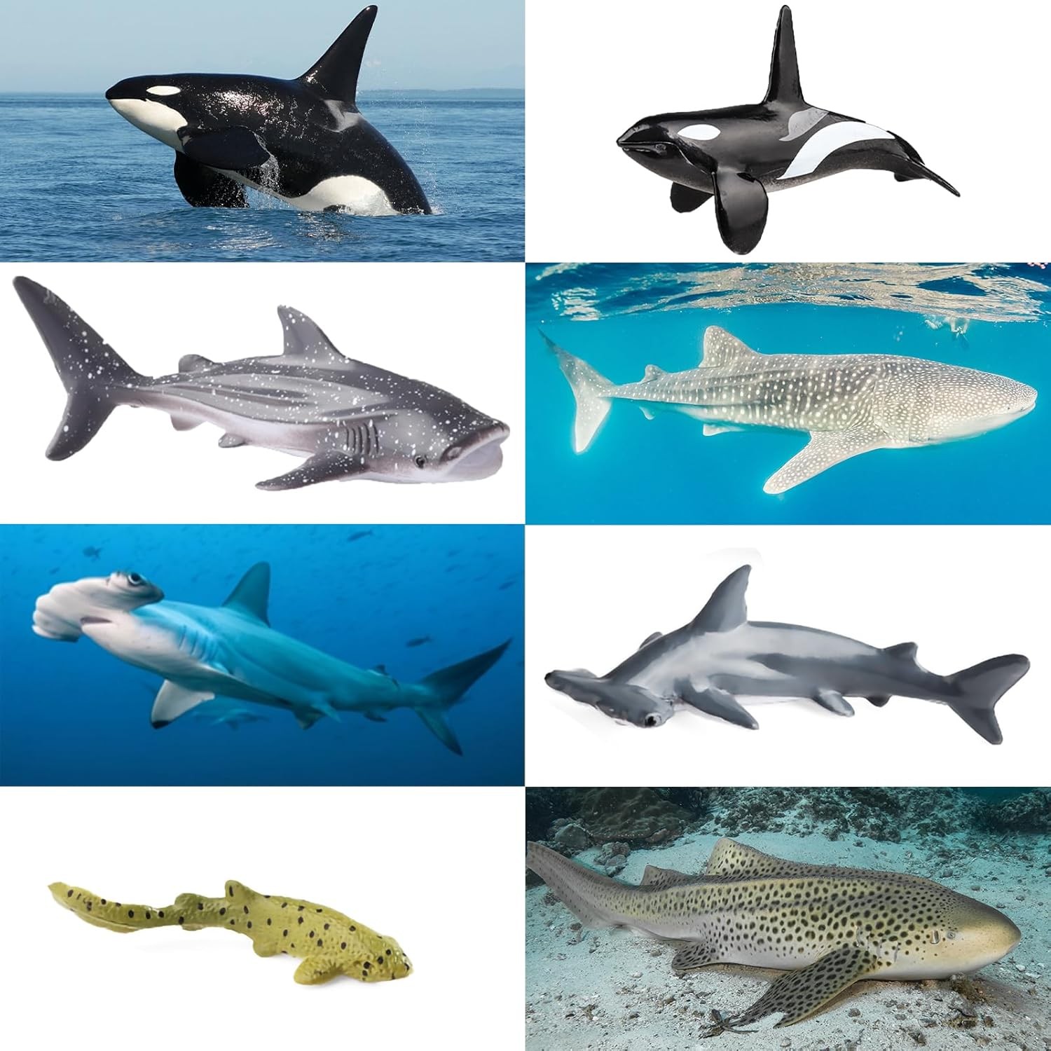 Realistic Sea Animal Figurines Set 10pcs Ocean Toys Whale Shark Jellyfish