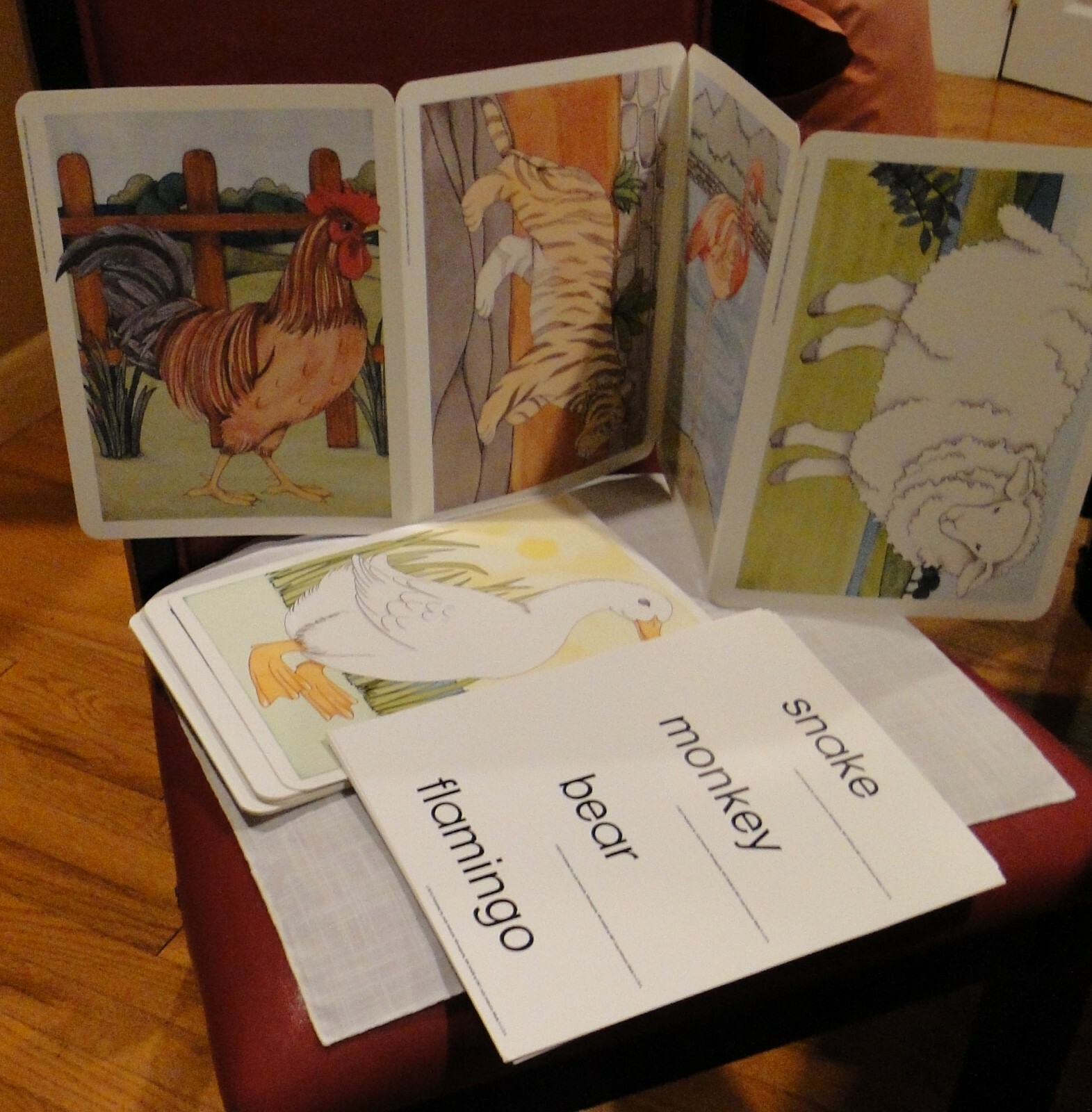 28 Animal Concept Pictures & 31 Word Cards for Identifying,8 1/2 x 11″ Judy/Inst