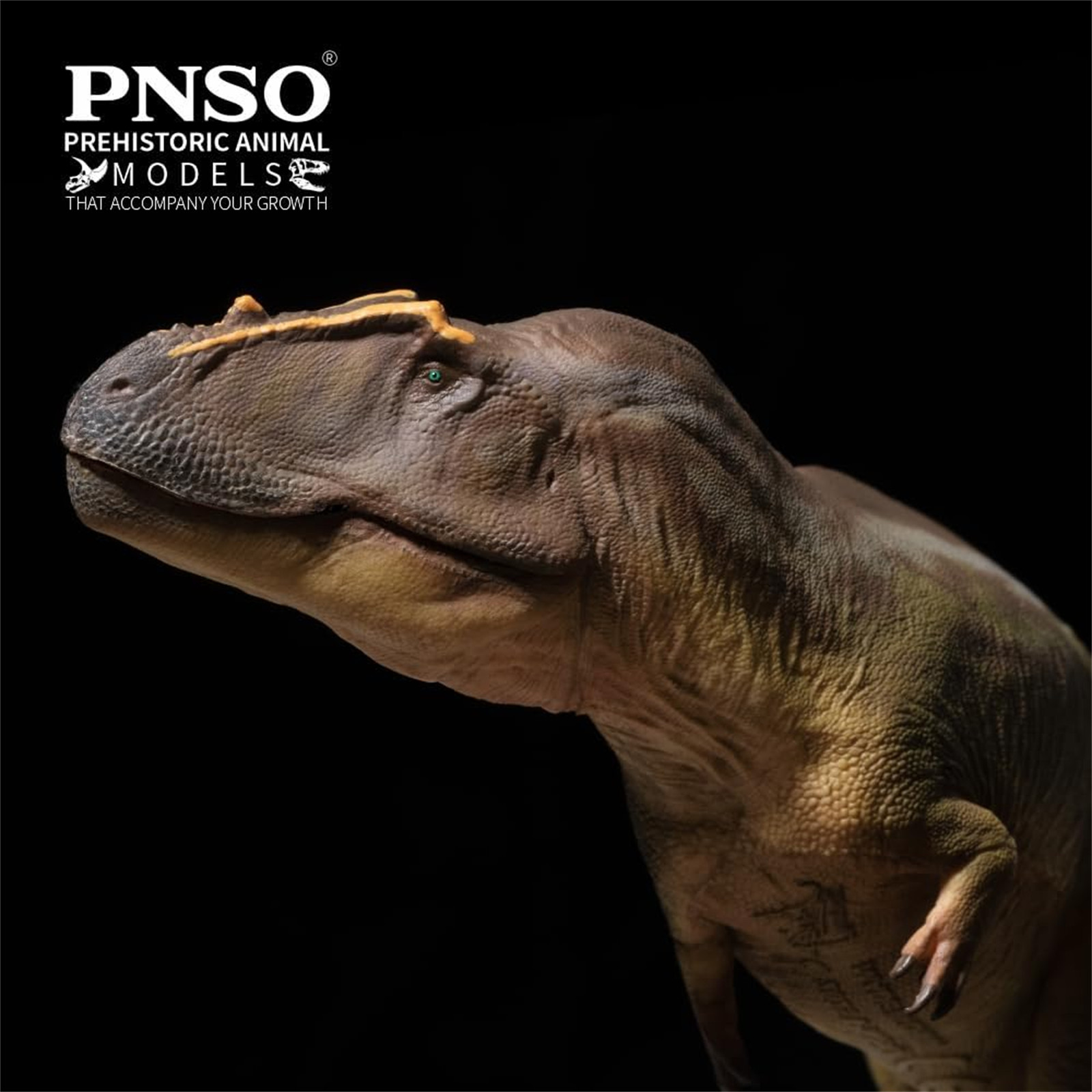 PNSO Tameryraptor 95 Model Decoration Dinosaur Animal Collection Gift Toys