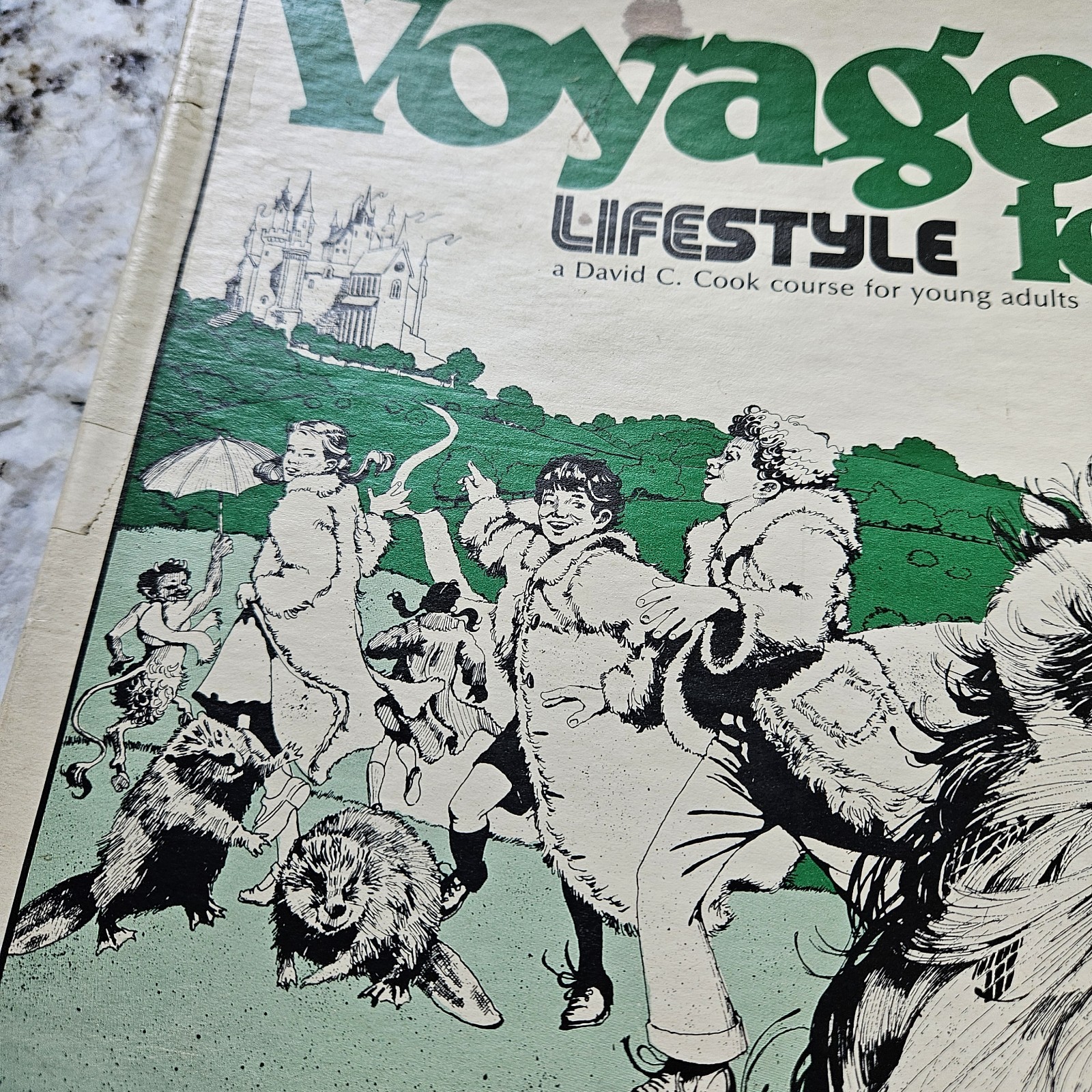 RARE VTG 1978 Voyage to Narnia Complete Course – David Cook- CS Lewis w/POSTERS!